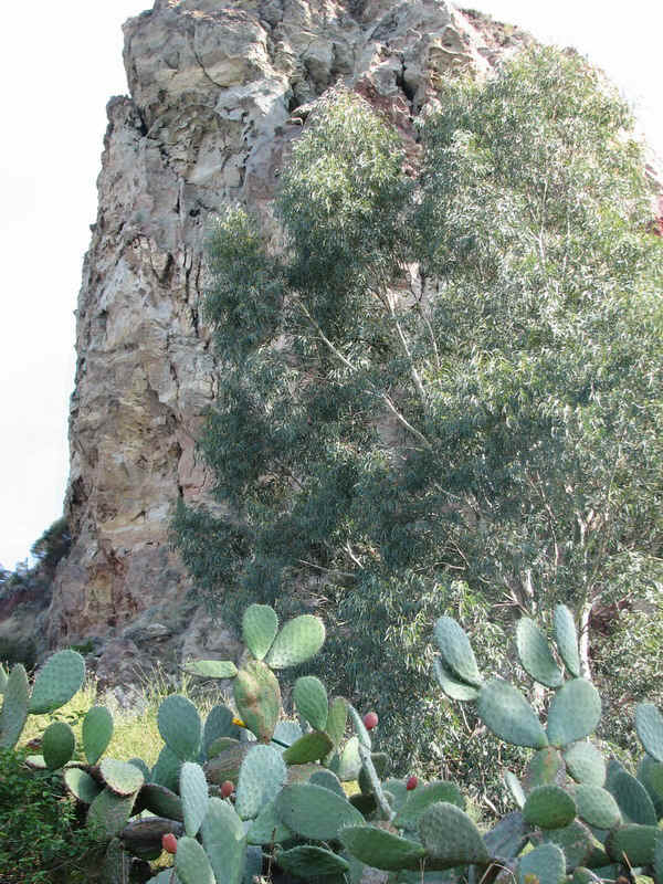 vulcano53.jpg (249662 bytes)