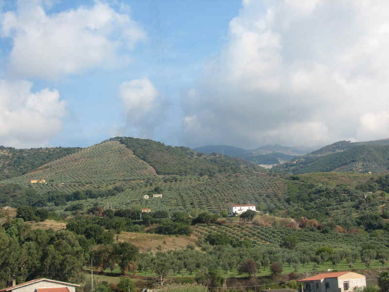 hazafele9.jpg (137965 bytes)