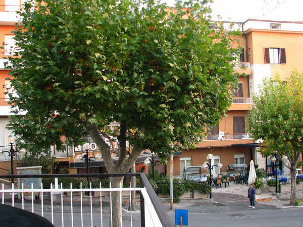 A Hotel bej�rata